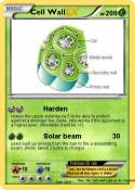 Cell Wall