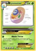 Lysosomes