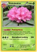 Rododendron