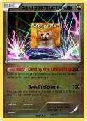 Cat of