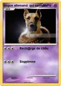dogue allemand