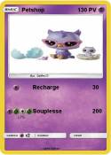 Petshop