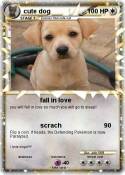cute dog