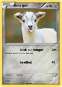 Baby goat