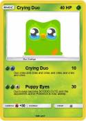 Crying Duo