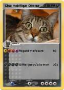 Chat maléfique