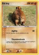 Fat dog