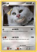 evil cat
