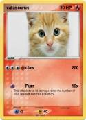 catasourus