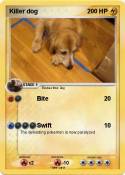 Killer dog