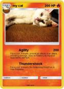 my cat