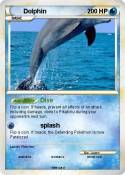 Dolphin