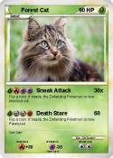 Forest Cat