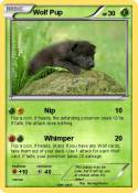 Wolf Pup