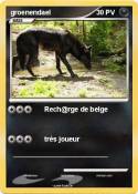 groenendael