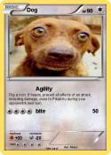 Dog