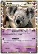 koala
