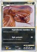 Pit viper