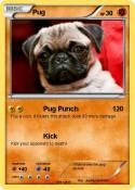 Pug