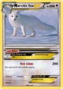 arctic fox
