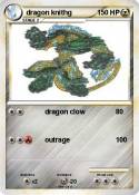 dragon knithg