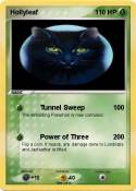 Hollyleaf