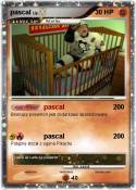 pascal