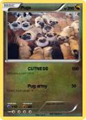 Pugs
