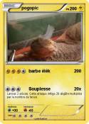 pogopic