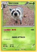 RACCOON