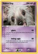 Rabies Dog