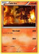 wild fire