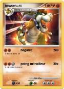 bowser