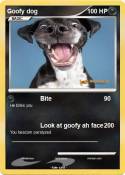 Goofy dog