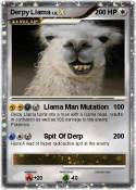 Derpy Llama