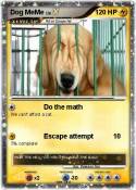 Dog MeMe