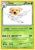 toutou
