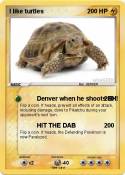 I like turtles