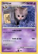 CUTE kat