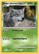 berger allemand