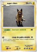 super chien