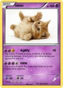 kitten