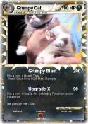 Grumpy Cat