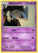 Molly the Dog