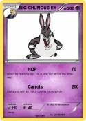 BIG CHUNGUS EX