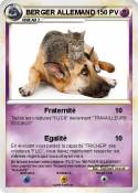BERGER ALLEMAND