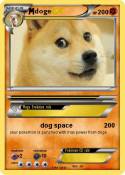 doge