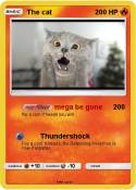 The cat
