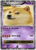 Doge