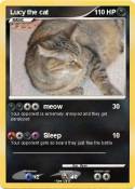 Lucy the cat